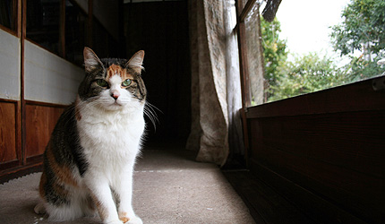 2007_1014miiko.jpg
