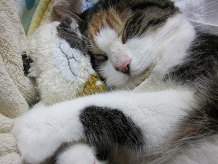 20101013miiko.jpg
