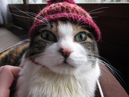 20121224_2639.jpg