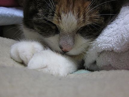 20150120miiko2.jpg