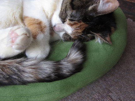 20150527_6812.jpg
