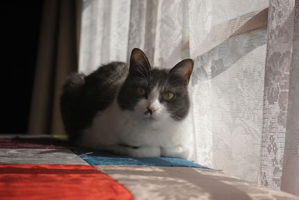20190403_2846.jpg