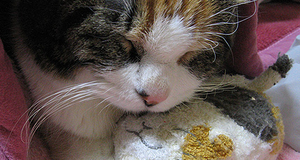 20060306miiko.jpg