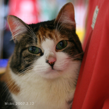 20070212.jpg
