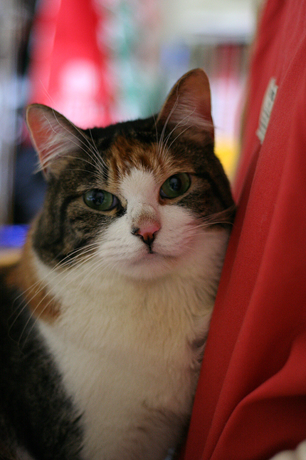 20070212miiko_187.jpg