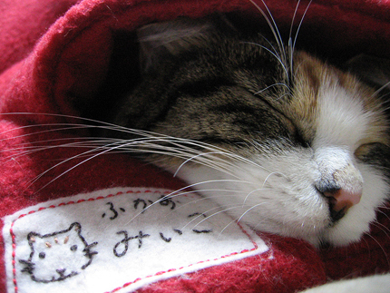 20071110.jpg