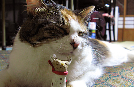 2007_0902miiko.jpg