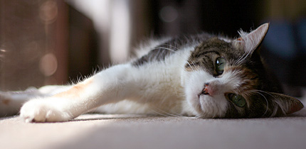 2008_0521miiko2.jpg