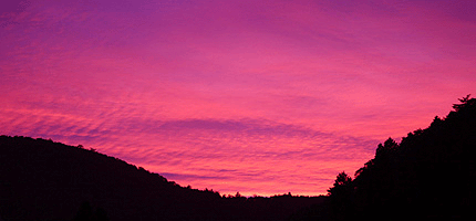 2008_0706kumo3.gif