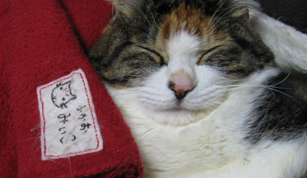 20090429miiko2.jpg