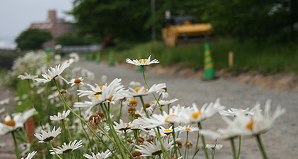 20090525teibou1.jpg