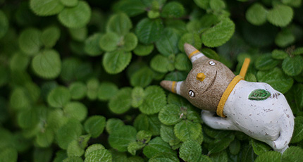 20090921aeru.jpg
