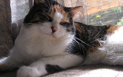 20090926miiko.jpg