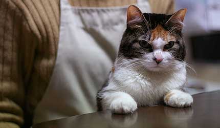 2009_0224miiko.jpg