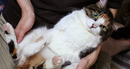 2009_1001miiko.jpg