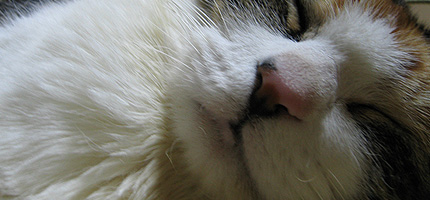 20100222miiko.jpg