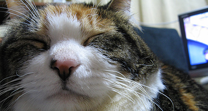20100315miiko.jpg