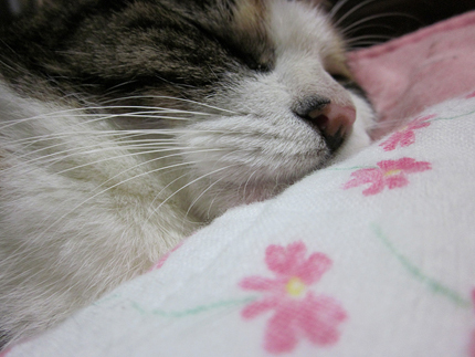20101013_0240.jpg
