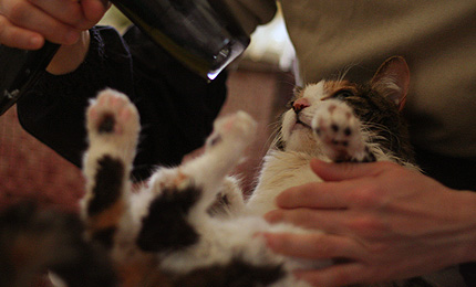 2010_0505miiko5.jpg