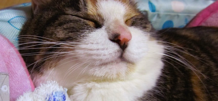 2010_0916miiko.jpg
