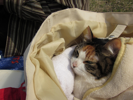 20110411_0617.jpg