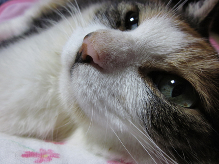 20110801_0747.jpg