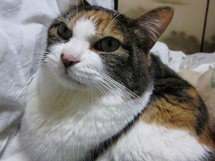 20111103_0859.jpg
