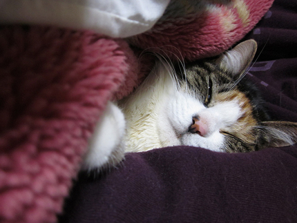 20120108_1094.jpg