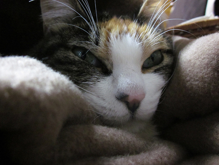 20120125_1194.jpg