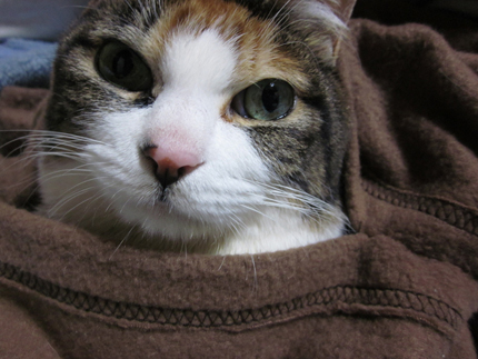 20120225_1312.jpg
