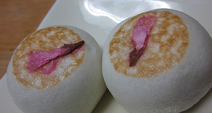 20120225sakurakasi.jpg