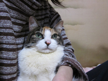 20120422_1485.jpg