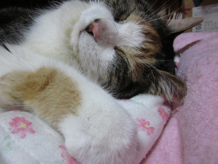 20120707_1882.jpg