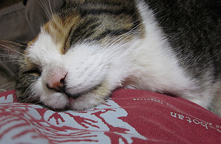 20120814miiko.jpg