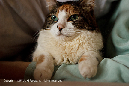 2012_0730miiko1.jpg