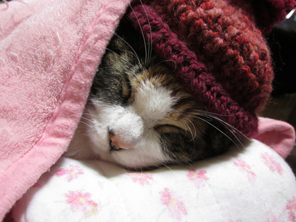 20130116_2729_1.jpg