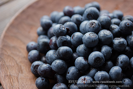 2013_0800blueberry.jpg