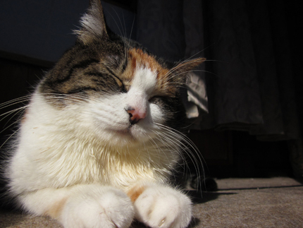 20140107_4376.jpg