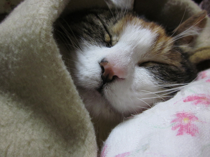 20140222_4613.jpg