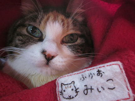 20140225_4648.jpg