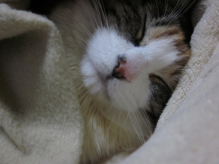 20140322_4798.jpg
