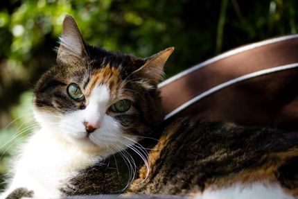 20140517_1544.jpg