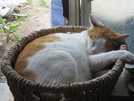 20140600kinzou.jpg