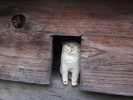 20140600neko.jpg