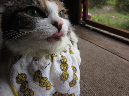 20140617_5547.jpg