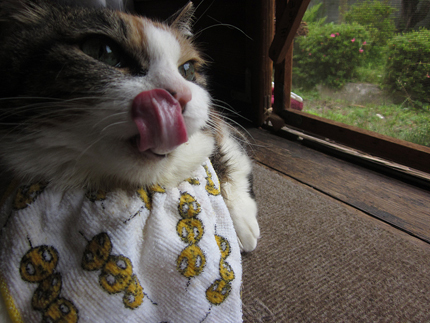 20140617_5548.jpg