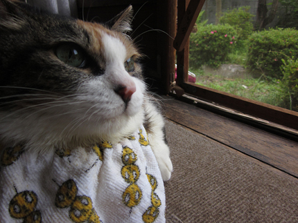 20140617_5549.jpg