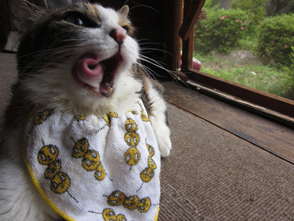 20140617_5550.jpg