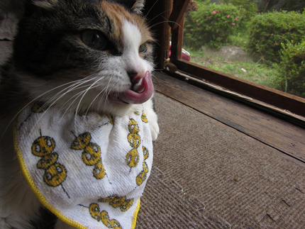 20140617_5551.jpg