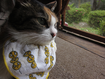 20140617_5552.jpg